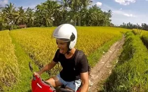 Driving in Bali one